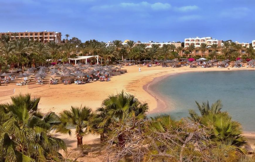 Abu Dabbab Beach Marsa Alam