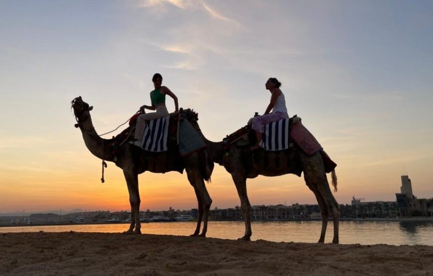 Camel & horse riding