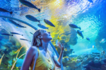 Grand Aquarium Hurghada