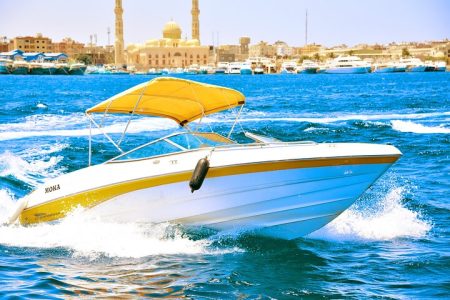 PRIVATE! | 4-hour Speed Boat Trip | Swim With Dolphins, Snorkeling & Island