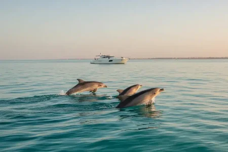 PRIVATE Speed Boat Trip